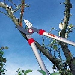 Сучкорез с наковальней WOLF-Garten RS 770 - фото 4968