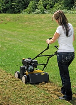 Вертикуттер бензиновый Cub Cadet XC1 B35 (CC V 35 B) - фото 5329