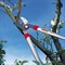 Сучкорез с наковальней WOLF-Garten RS 770 - фото 4968