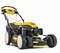 Газонокосилка бензиновая самоходная Cub Cadet LM3 DR53ES - фото 6045